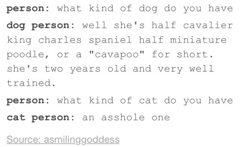 blighght:  The difference between cat people and dog people, as explained by Tumblr. 