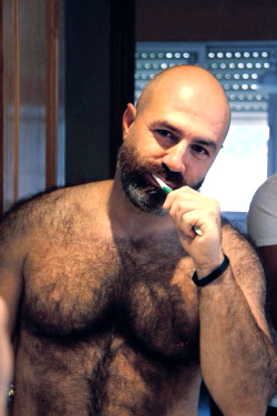 biversbear-free-gay-bear-porn:  New video - from Gym to bedroom- watch nowAlso new website launched with my collection of free gaybear porn.
