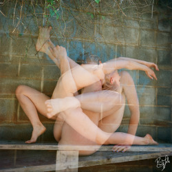 ladysensuality:  Photographer: Bunny Luna Model: Lady Sensuality Location: Charlotte, NC  Wonderful yoga!