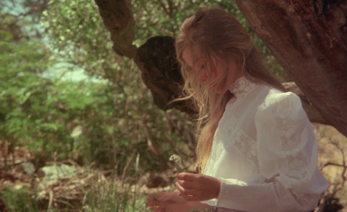 thelittlefreakazoidthatcould: Sara reminds me of a little deer Papa brought home once. I looked after it, but it died. Mama always said it was doomed. Picnic at Hanging Rock (1975) // dir. Peter Weir
