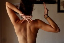 ohheylxn:  back muscles back muscles back muscles  