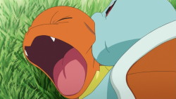 thatmetticguy:  therandominmyhead:  Payback.  However blastoise is taking it like a champ and not like a big bitch like Charmander did. Blastoise proved to be the best once again 