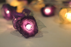 wickedclothes:  Rose-Shaped Lights Twenty rose-shaped lights are hung across this light string. Each rose is crafted out of mulberry paper and provides dim lighting for a comforting atmosphere. Sold on Etsy. 