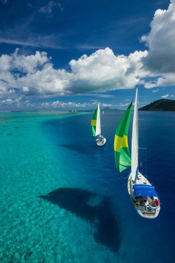 gyclli:  Crystal clear sea French Polynesia