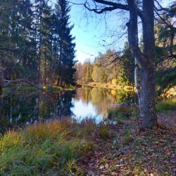 The #Sound Of #Silence / #Autumn #October, 14 2013 / #Landscape #Park #Lake #Pond