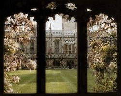 bonitavista:    Magdalen College, Oxford, Englandphoto via  charlotte 
