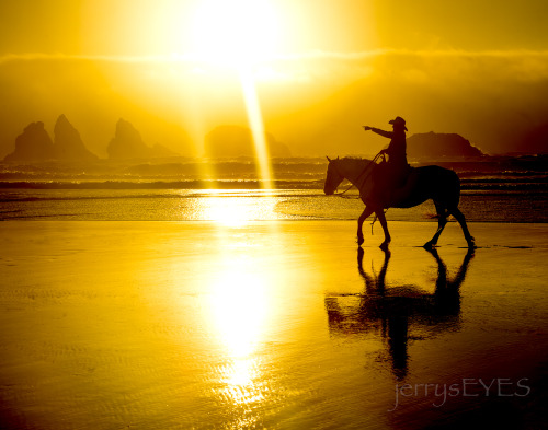 Porn photo “Quixote”Oregon Coast -jerrysEYES