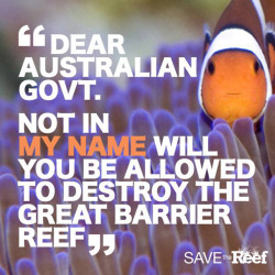 cacao-kai:  Greenpeace Australia, “BREAKING: Enviro Minister Greg Hunt has approved for 3 million cubic metres of seafloor will be dredged up and dumped to make way for a huge new coal terminal in the Reef World Heritage Area. It could transform this