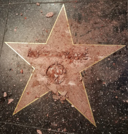 kimidakewooooo: senpai76:  hman:    “…Trump’s star on the Hollywood Walk of Fame was destroyed early Wednesday morning in what looks to be a Tinseltown first.”  Blessed Image  reblog in less than 30 seconds for good luck   Well if it&rsquo;s