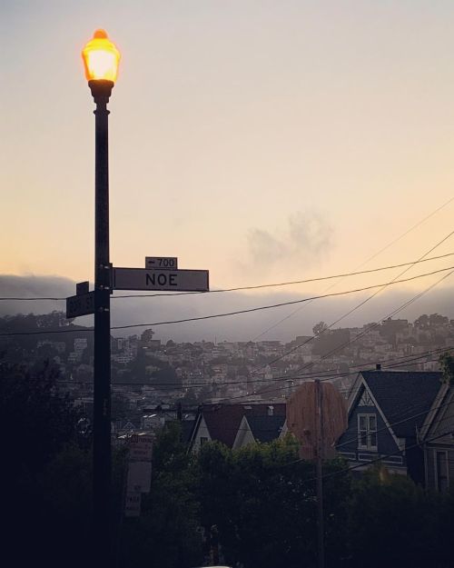 Every view is a masterpiece. Every scene a painting. San Francisco is gorgeous. #sf #moemeatproductions  (at San Francisco, California) https://www.instagram.com/p/CRN8YrbLwaa/?utm_medium=tumblr