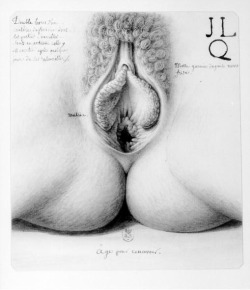 pg-to-xtreme:  kuinesis:  Illustration of Female genital organs by Lequeu, Jean Jacques (1757-1825?) in book   Book “Age pour concevoir”, 1779-1795  Maybe this will help