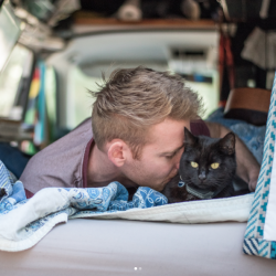 catsbeaversandducks: Rich &amp; Willow - Traveling Cat  “Quit my job, sold my house and all my stuff to travel around Australia with my cat in a VW Van.” Photos/caption by vancatmeow 