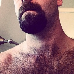 beardburnme:  scruffy_beard