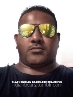indianbears:  Submitted by @huvuvad3443  The only dedicated INDIAN BEARS blog in Tumblr: http://INDIANbears.tumblr.com/