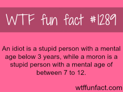 wtf-fun-facts:  The difference between