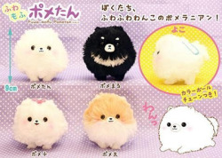 ufocatcheraddict:  alpacassing:  MAY RELEASE! Fuwamofu Pometan Ohhhh my goodness, look at these puffballs! Fuwamofu Pometan (or “Fluffy-Wuffy Pometan”), are a brand new line of characters, and are they adorable or what? The standard size and smaller