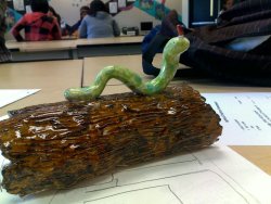 snapchatting:  in 11th grade art we had to make mythical creatures with clay but i didn’t want to do that so i made a log and added a lil worm friend on top of it but my teacher got mad and said i had to make it mythical so i added a horn to it and