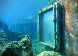 unexpectedswimmingboys:  daftwithoneshoe:  lizthefangirl:  justanotherdayinlife:  lesbiansandthelivingdead:  dontbearuiner:  deducecanoe:  brain-food:  Abandoned Underwater Strip Club in Israel via  UNDERWATER STRIPCLUB. HOW COULD YOU EVER LET THIS BE