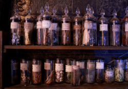 wickedlywitcheryx:  potion classes/harry potter studios tour by januarychild on Flickr. 