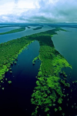 brazilwonders:  Amazônia (via pinterest)
