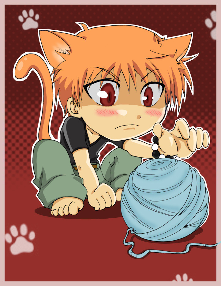 Name: Kyo Sohma Anime: Fruits Basket Occupation: Student Curse Year: Cat Age: 16