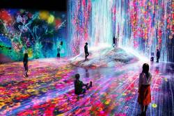 hifructosemag:See the rundown of our most popular posts of 2018, including the world’s biggest museum dedicated to interactive digital art from Mori Building and teamLab, here.