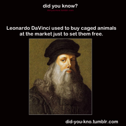 retuce:  asktherenaissanceman:  coffeeandfish:  lampgod:  did-you-kno:  Source    Leo no, don’t release Valentino out into the wild. Leo no. You’re going to give people heart attacks.   Che? I’m afraid I do not understand.   DaVinci’s demons