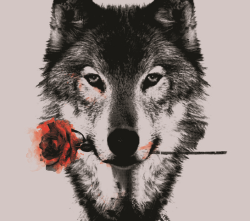 I&rsquo;m a lonewolf but I think I&rsquo;m ready to have a girlfriend&hellip; maybe. Not 100% sure but I&rsquo;m leaning towards the idea. Not just anybody though. There&rsquo;s gotta be an explosion in our hearts, probably from the get go. We have to