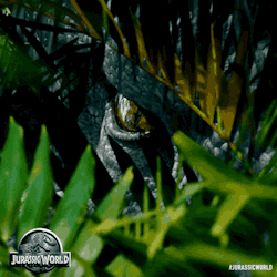 jurassicworldmovie:  The last thing you’d want looking back at you from the bushes.Prepare for June 12 - get tickets now!