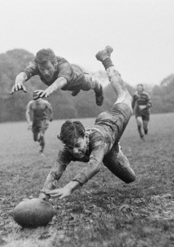 maximien:Rugby 1960