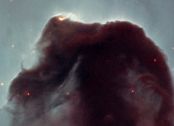 humanoidhistory:  &ldquo;The Horsehead, also known as Barnard 33, is a cold, dark cloud of gas and dust, silhouetted against the bright nebula, IC 434. The bright area at the top left edge is a young star still embedded in its nursery of gas and dust.