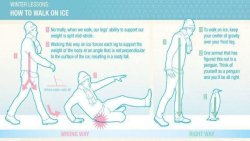 giantgag-com:  How To Walk On Ice