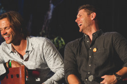 grumpyjackles:  last one for the evening. but these boys always give us good laughs when Richard comes out on stage to wrap up the panel.   Jared Padalecki &amp; Jensen Ackles - Main Panel - Salute to Supernatural DC 2015    