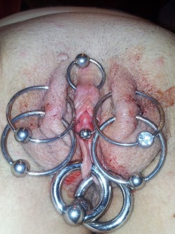 Clithood piercing, one right through her clit, and large labia rings. Some blood visible, some of the piercings just done?