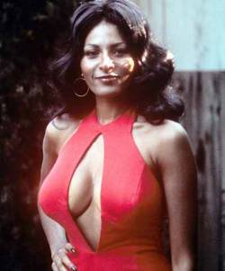 dipshitdiablo: The Goddess of Whoop-Ass A Pam Grier appreciation post  “ Me? Sexy?  I’m just plain ol’ beans and rice” 