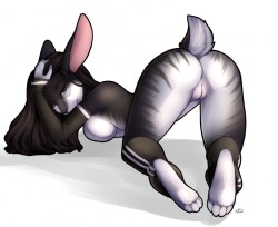 skyluvasfurryporn:  Some cute solo bunnies