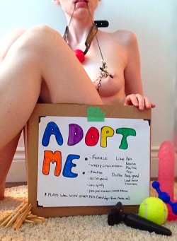 devotedlittepet:  Playing stray pet at the pound :3   Who wouldn’t adopt her?