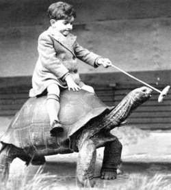 Boy on a turtle