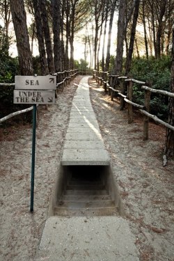 didyouknowmagic:  youcouldbefound:  thewayhereyeslightuptheroom:  teenawh:  jem-sie:  letsfack:  legitimism:  Where is this?  How tf do you walk down that?  how the fuck  That’s terrifying  Looks like an adventure  Let’s do it.   No one? No one took