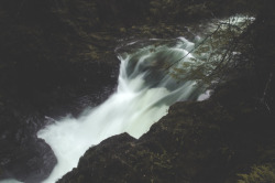 deeplovephotography:  Little Qualicum Falls