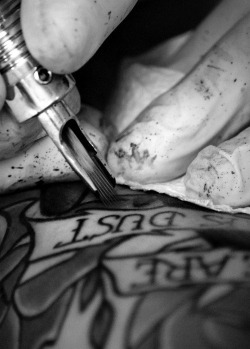 Tattoo &lt;3 | via Tumblr en We Heart It. http://weheartit.com/entry/69108283/via/ickevegansxe
