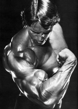 musclegods2:  Arnold Schwarzenegger. Legend. View All Posts Of Arnold Schwarzenegger 