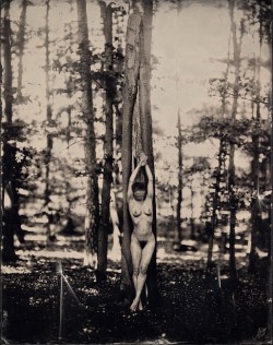 vivipiuomeno:  Andreas Reh - Visions, 2013, wetplate collodion on clear glass 