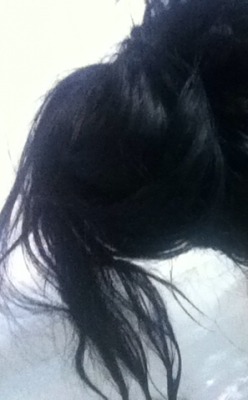 raisa-allin:  idk how to do anything with my hair even a bun? help? im useless *crops my ugly head from the photo*
