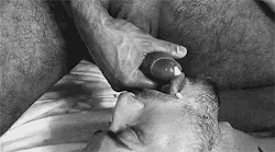 leite-de-macho: cummeaterchicago:  What is an ideal man?  One who is hairy, uncut and likes to feed his load into hungry cum sucker’s mouth!  Leite-de-macho.tumblr.com/archive 