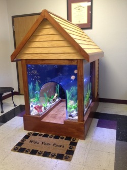 milkbuns:  inetgate:  水槽な犬小屋 Went to my local vet clinic to drop off my dog for surgery and was surprised to see this awesome fish tank/dog house! - Imgur  Wow 