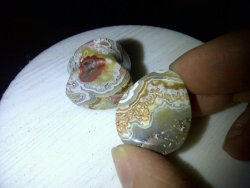 Plugporn:  Mexican Crazy Lace Agate Teardrops By Evolve