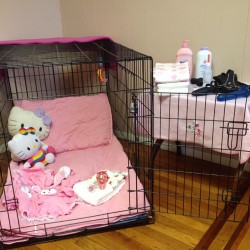 badlilblubunny:  Sissy babies get locked up in the sissy cage. 