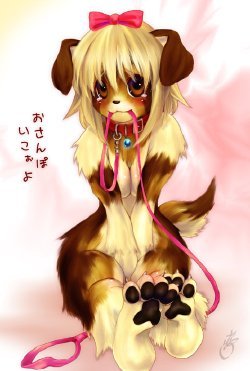 furrynudes:  Follow Me for Some Fluffy Furry Fucks   Lots of dog girls.