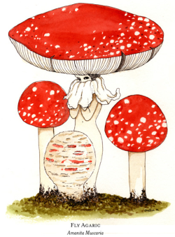 glittertomb:  Mushroom Pieces by Eveline Tarunadjaja, one of my absolute favorites 